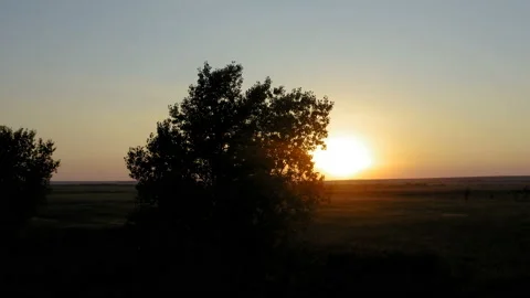 Flight by a couple of trees on a large field with sunset in the background Stock Footage 137854283