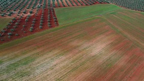 Flight in crop fields in the province of Toledo 스톡 동영상 277656023