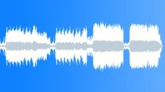 Flight of the CrowStock Music