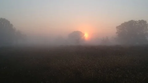 Flight to the dawn sun through the veil of summer fog Stock Footage 115690893