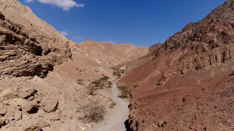 Flight in a desert stream in arave desert - israel Stock-Footage 104962565