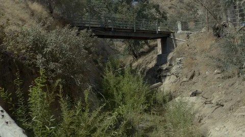 Flight down a creek under an abandoned bridge in the middle of the forest. Stock Footage 96210459