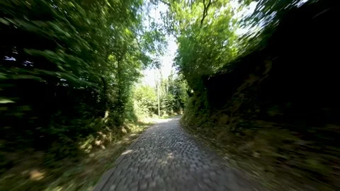 Flight down a hollow road with cobblestones Stock Footage 245997033