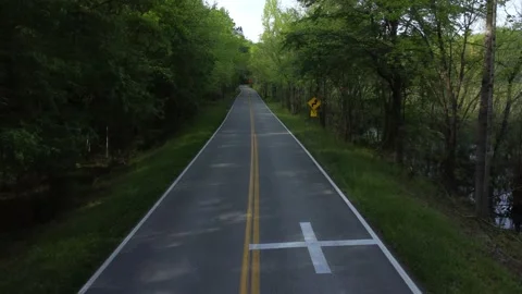Flight down tree covered road with swamp on right side Video stock 239071666