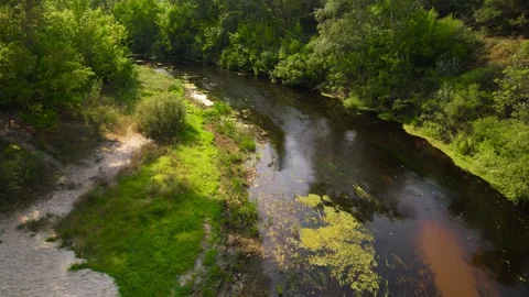 Flight from a drone along the coast, the forest and the river Orel Video stock 180974063