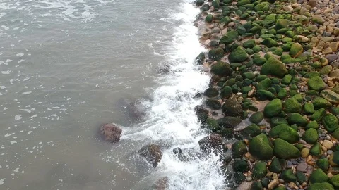Flight drone along the coastline Stock Footage 115506557