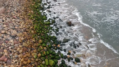Flight drone along the coastline Stock Footage 115506591