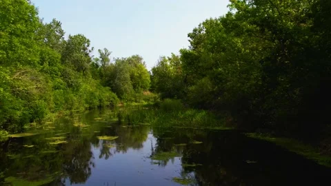 Flight from a drone along the forest and the river Orel Video stock 180966687