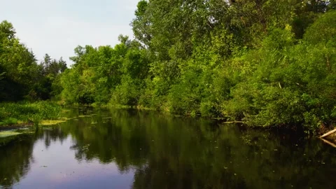 Flight from a drone along the forest and the river Orel Video stock 180966893