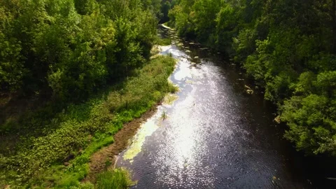 Flight from a drone along the forest and the river Orel Video stock 180974369