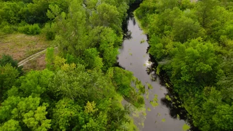 Flight from a drone along the forest and the river Orel Video stock 180976846
