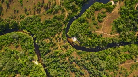 Flight from a drone along the forest and the river Orel Video stock 180976879