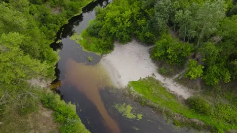 Flight from a drone along the forest and the river Orel Video stock 180977802