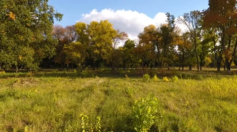 Flight to drone in a beautiful park 스톡 동영상 68612209