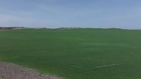 Flight with a drone in a crop field with irrigation structure 스톡 동영상 277735561