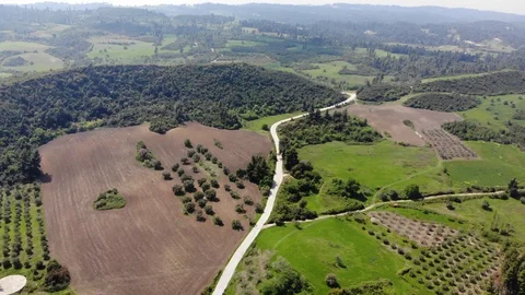 Flight on a drone in Greece 動画素材 88735541