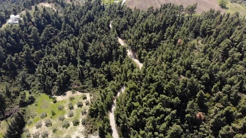 Flight on a drone in Greece 動画素材 88743674