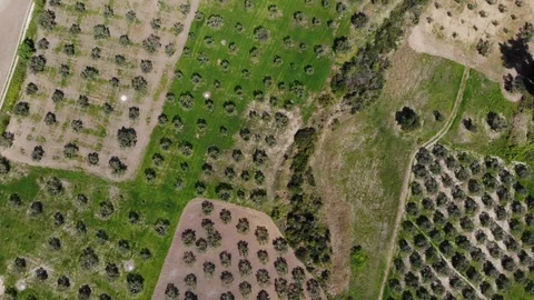 Flight on a drone in Greece Stock Footage 88743732