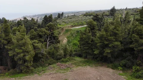 Flight on a drone in Greece 動画素材 88743896