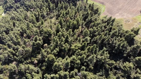 Flight on a drone in Greece Stock Footage 88744184