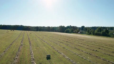 Flight of the drone low above the field Stockbeeldmateriaal 156197796
