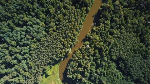 Flight on the drone over the forest and small river Stock Footage 105274888