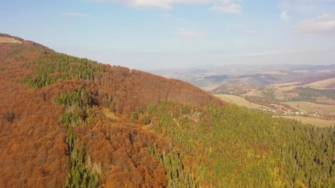 Flight of the drone over the forest and mountains in the early morning at sun Stockbeeldmateriaal 118395736