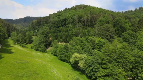 Flight with a drone over meadow and trees in black forest Stock Footage 131594706
