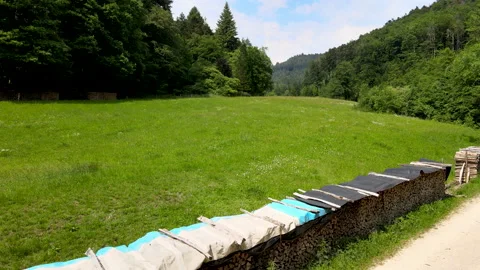 Flight with a drone over a meadow Stock Footage 131593868