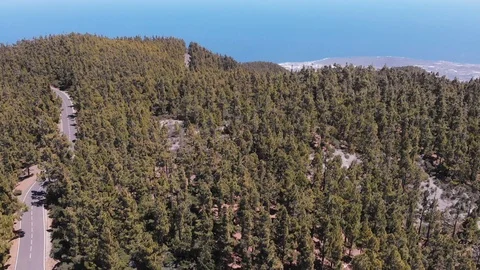 The flight of the drone over the mountain range and coniferous evergreen forest Stock Footage 110896923