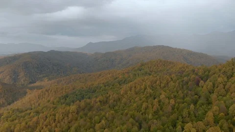 Flight of the drone over the mountains covered with forest Stock Footage 119879462