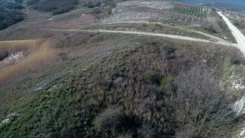 The flight of a drone over a vineyard in the mountains Stock Footage 91402224