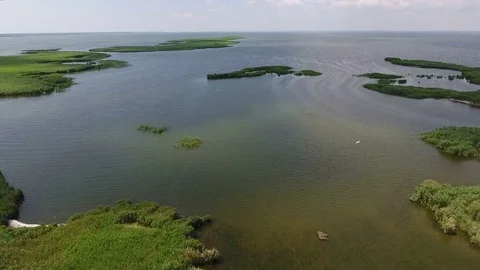 Flight of the drone over the water ecosystem Stock Footage 77124412