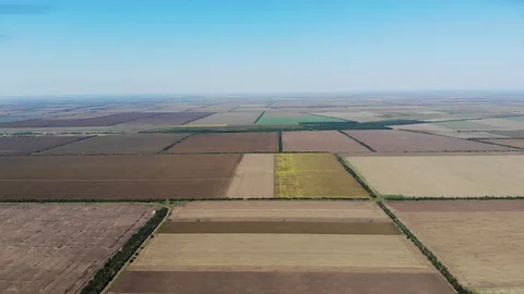 Flight of a drone over wheat fields, flight among the sky and fields, blue sky. Stock Footage 115899623