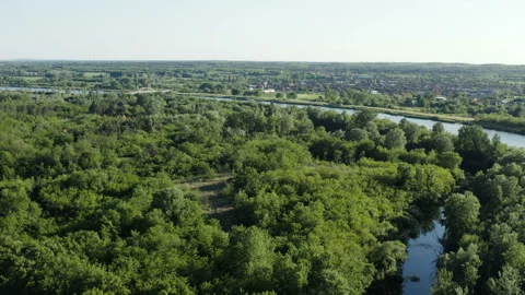 Flight with a drone over the woods by a big canal Stock Footage 134190981