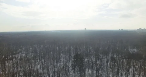 The flight from the drone of a winter forest Video stock 90897716