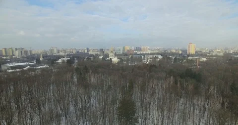 The flight from the drone of a winter forest Stock Footage 90897798