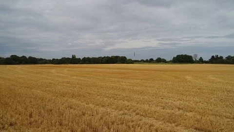 Flight Dry Fields Cologne 動画素材 93561110