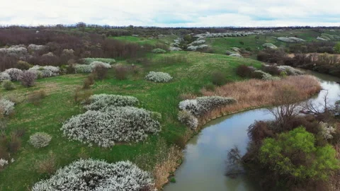 Flight during the day over a clearing and a reservoir Video stock 153039907