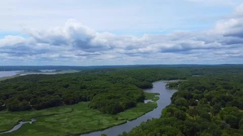 The flight of the Eagle Video stock 246402989