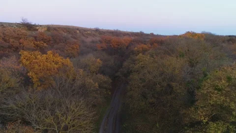Flight in the evening over the forest and forest road Video stock 153379304