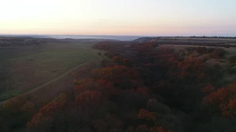 Flight in the evening over the forest and meadow in autumn Video stock 153438775