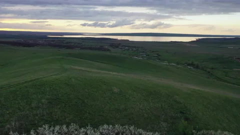 Flight in the evening over a green forest glade Video stock 153041435