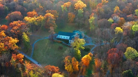 Flight in the evening over trees, park, building. 스톡 동영상 168476979