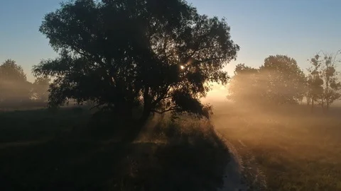 Flight to the fabulous sun. Video stock 114356156