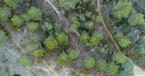 Flight in fall Stock Footage 101095811