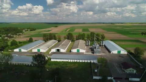 Flight to the farm buildings and elevator on a sunny day. Video stock 201018742