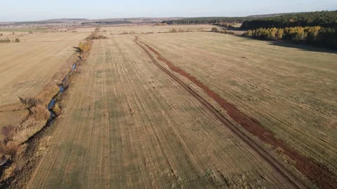 Flight in the field in FPV mode Stock-Footage 163090496