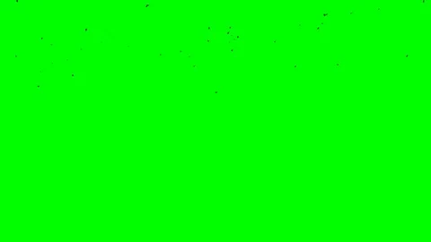 Flight of flocks of black birds in one direction at the top of the frame on a Stock Footage 105658801