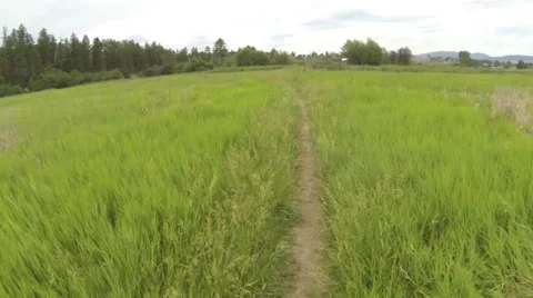 Flight following a path Stock Footage 51336567